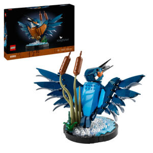10331 Icons Kingfisher Bird - 1