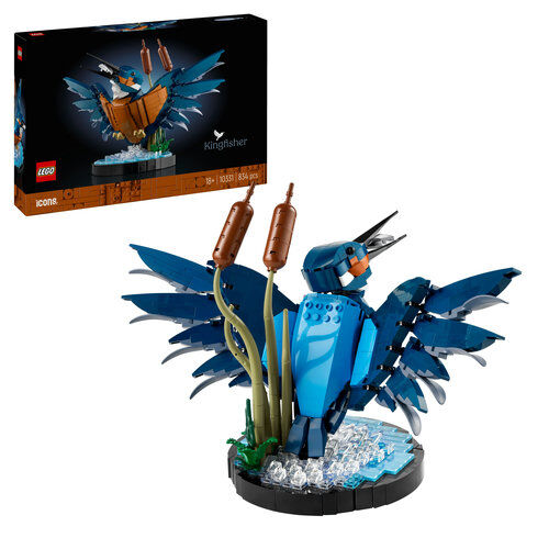 10331 Icons Kingfisher Bird - 1