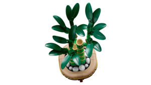 10344 Botanical Collection Lucky Bamboo - 4