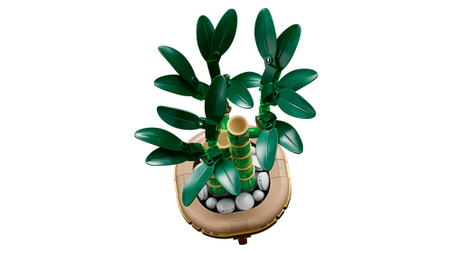 10344 Botanical Collection Lucky Bamboo - 4