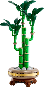 10344 Botanical Collection Lucky Bamboo - 5