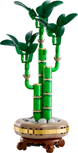 10344 Botanical Collection Lucky Bamboo - 5