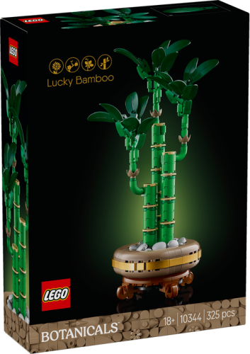 10344 Botanical Collection Lucky Bamboo - 2