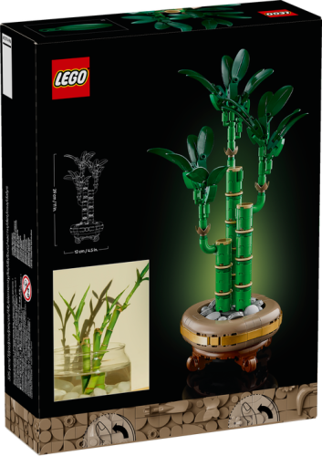 10344 Botanical Collection Lucky Bamboo - 3