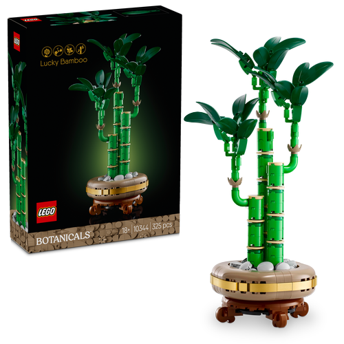 10344 Botanical Collection Lucky Bamboo - 1