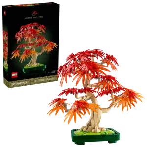 10348 Botanical Japanese Red Maple Bonsai Tree - 1