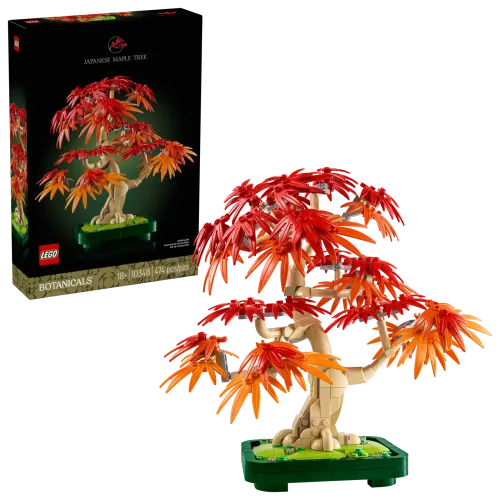 10348 Botanical Japanese Red Maple Bonsai Tree - 1