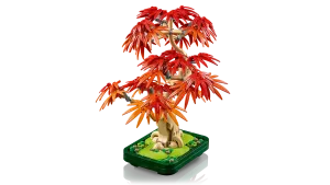 10348 Botanical Japanese Red Maple Bonsai Tree - 4