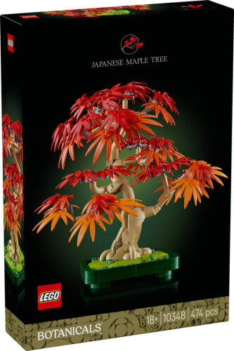 10348 Botanical Japanese Red Maple Bonsai Tree - 2