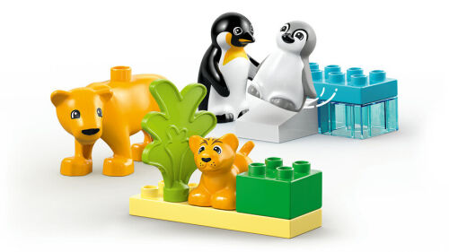 10442 Duplo Leonardo da Vinci's Flying Machine - 5