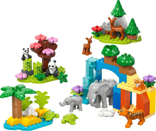 10446 Duplo 3in1 Wild Animal Families - 5
