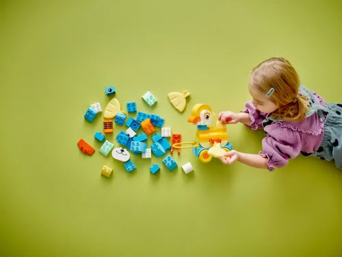 10448 Duplo 3 in 1 Animals on Wheels - 7