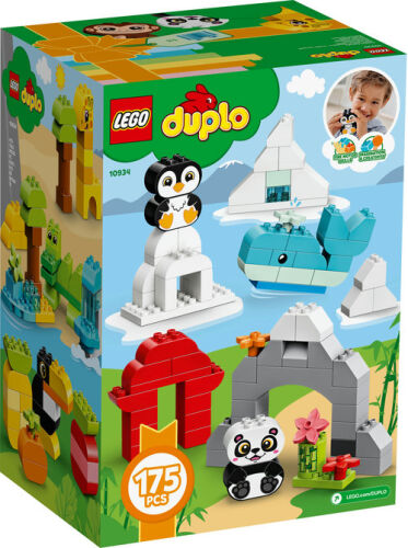 Duplo creative sales