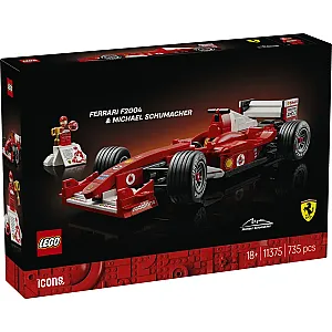 11375 Icons Ferrari F2004 & Michael - 2