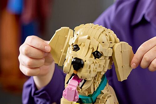 11384 Golden Retriever Puppy - 9