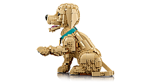 11384 Golden Retriever Puppy - 7