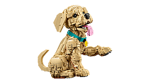 11384 Golden Retriever Puppy - 8