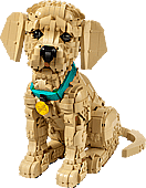 11384 Golden Retriever Puppy - 4