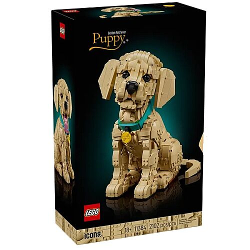 11384 Golden Retriever Puppy - 2