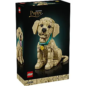 11384 Golden Retriever Puppy - 1