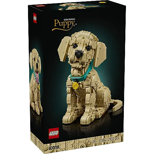 11384 Golden Retriever Puppy - 1