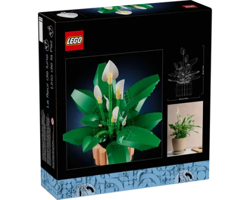 11504 Botanical Collection Peace Lily - 3