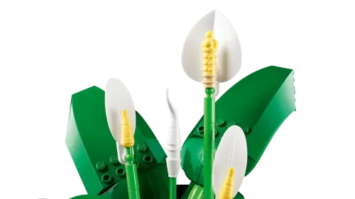 11504 Botanical Collection Peace Lily - 6