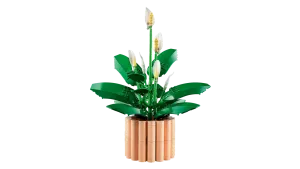 11504 Botanical Collection Peace Lily - 4