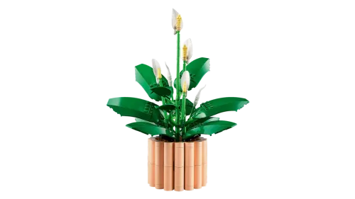 11504 Botanical Collection Peace Lily - 4