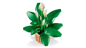 11504 Botanical Collection Peace Lily - 7