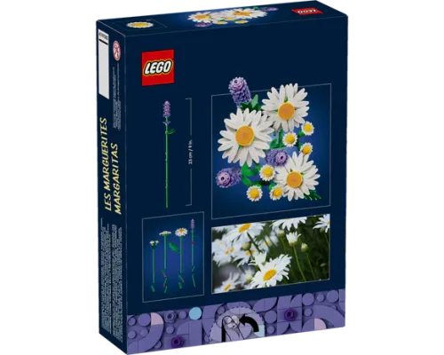 11508 Botanical Collection Daisies - 3