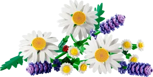 11508 Botanical Collection Daisies - 4