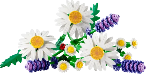 11508 Botanical Collection Daisies - 4