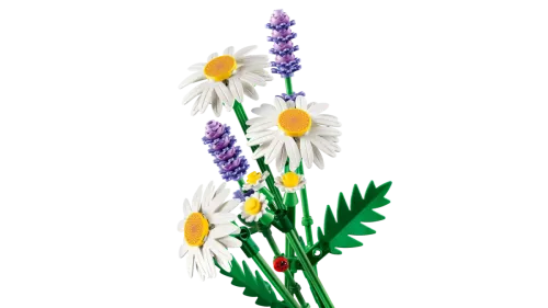 11508 Botanical Collection Daisies - 5