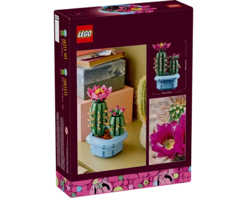 11509 Botanical Collection Flowering Cactus - 3