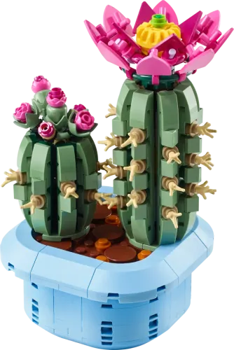 11509 Botanical Collection Flowering Cactus - 4