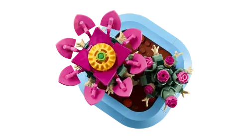 11509 Botanical Collection Flowering Cactus - 6