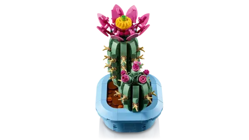 11509 Botanical Collection Flowering Cactus - 5