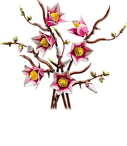 11510 Botanical Collection Magnolia Branches - 4