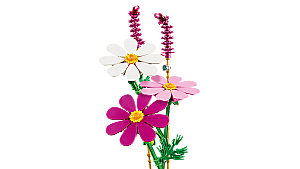 11514 Botanicals Cosmos Flowers - 5