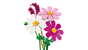 11514 Botanicals Cosmos Flowers - 6