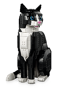 21349 Ideas Tuxedo Cat - 4