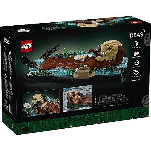 21366 Ideas Floating Sea Otters - 3