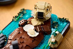 21366 Ideas Floating Sea Otters - 9