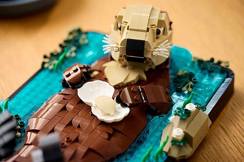 21366 Ideas Floating Sea Otters - 9