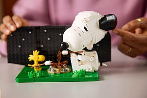 21368 Ideas Peanuts: Snoopy's Doghouse - 10