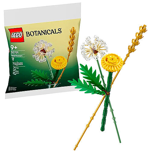 30701 Botanical Collection Field Flowers - 1
