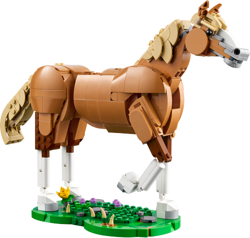 31166 Beautiful Horse - 5