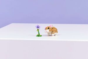 31376 Creator 3in1 Cute Hamster with a Flower - 9