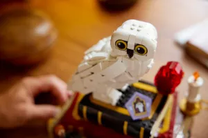 76466 Harry potter Sorcerer's Stone # Collectors' Edition - 9